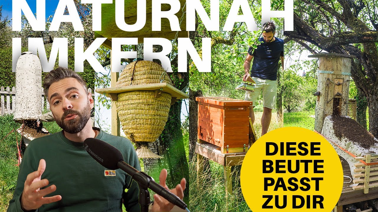 Naturnah Imkern | Welcher Bienenstock passt am besten zu dir? (4K)