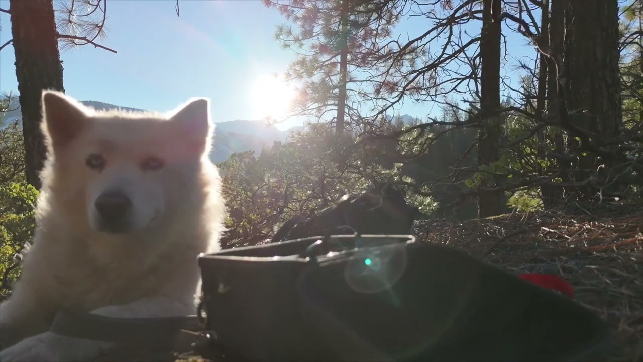 Winter Hike on the backside of Castle Crags and the Pacific crest trail