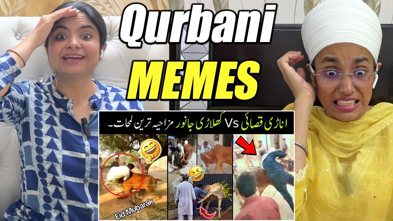 Indians React to Anari Qasai Vs Khiladi Qurbani Animals Funny Videos 😅😜