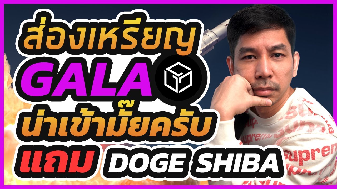 ส่องเหรียญ gala doge shiba น่าเข้ามั๊ยคับพี่!!!