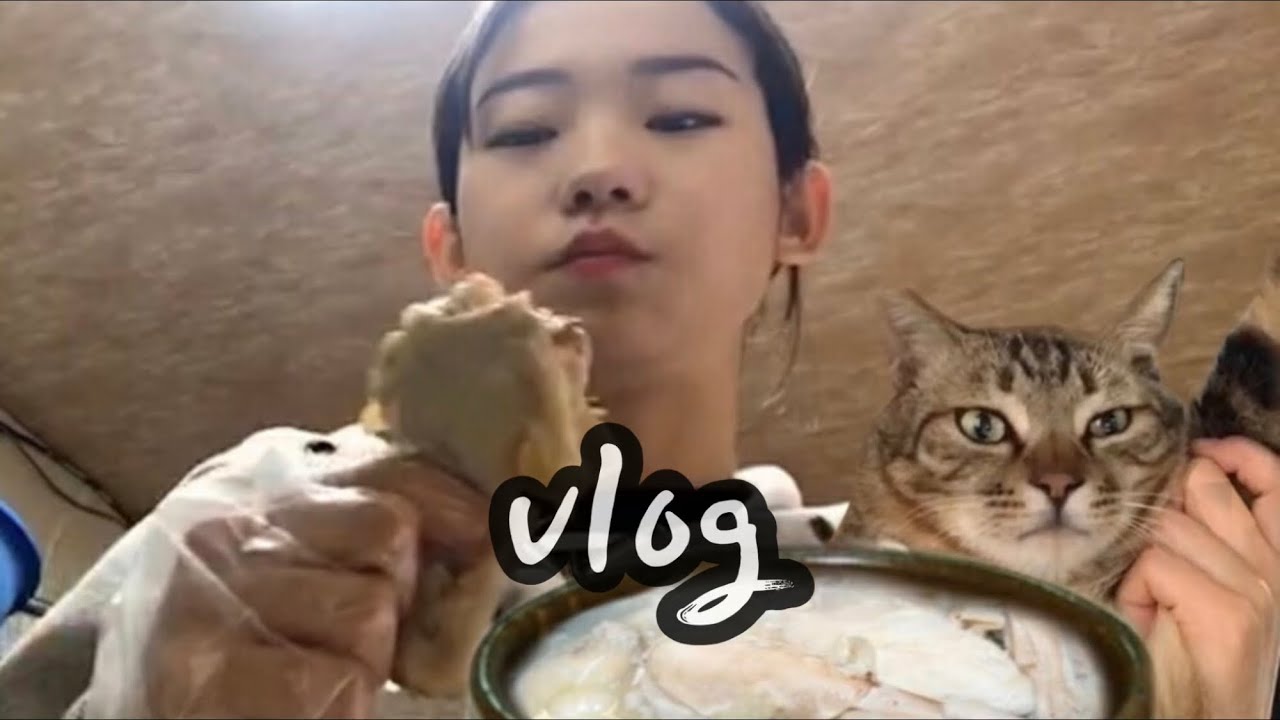 백숙, 굶주린 길고양이