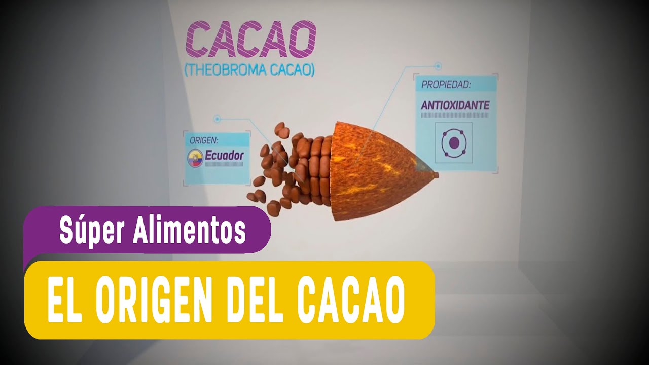 Cacao, su origen y gran poder energizante - #SúperAlimentos