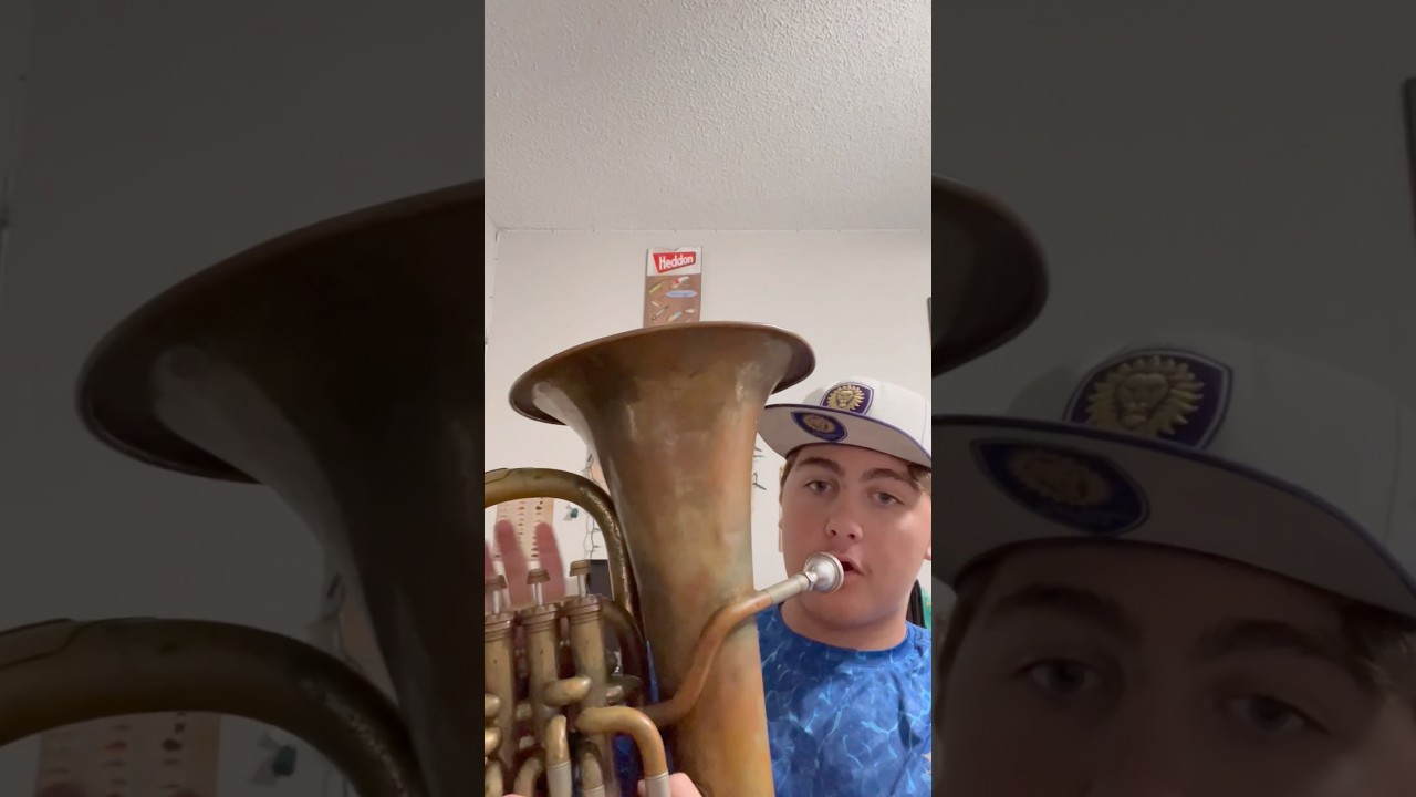 ￼ baritone for dummies #upcomingmusician #musicartistlife #music ￼￼