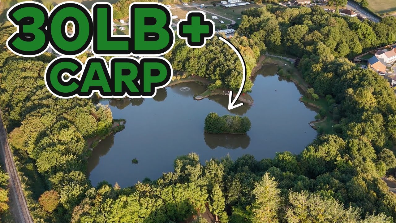 FINALLY!...Carp on the Bank!