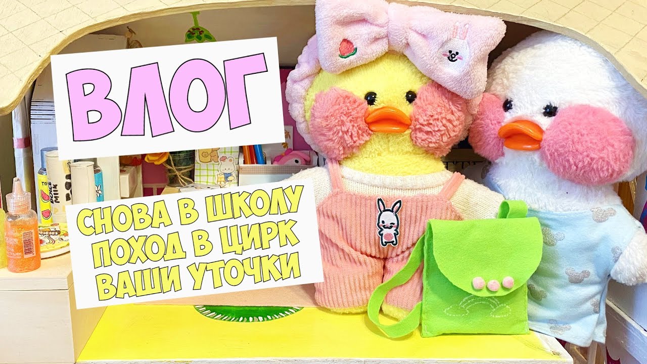 Мой день с уточками Лалафанфан - Собираемся в школу, поход в цирк, уточки подписчиков!