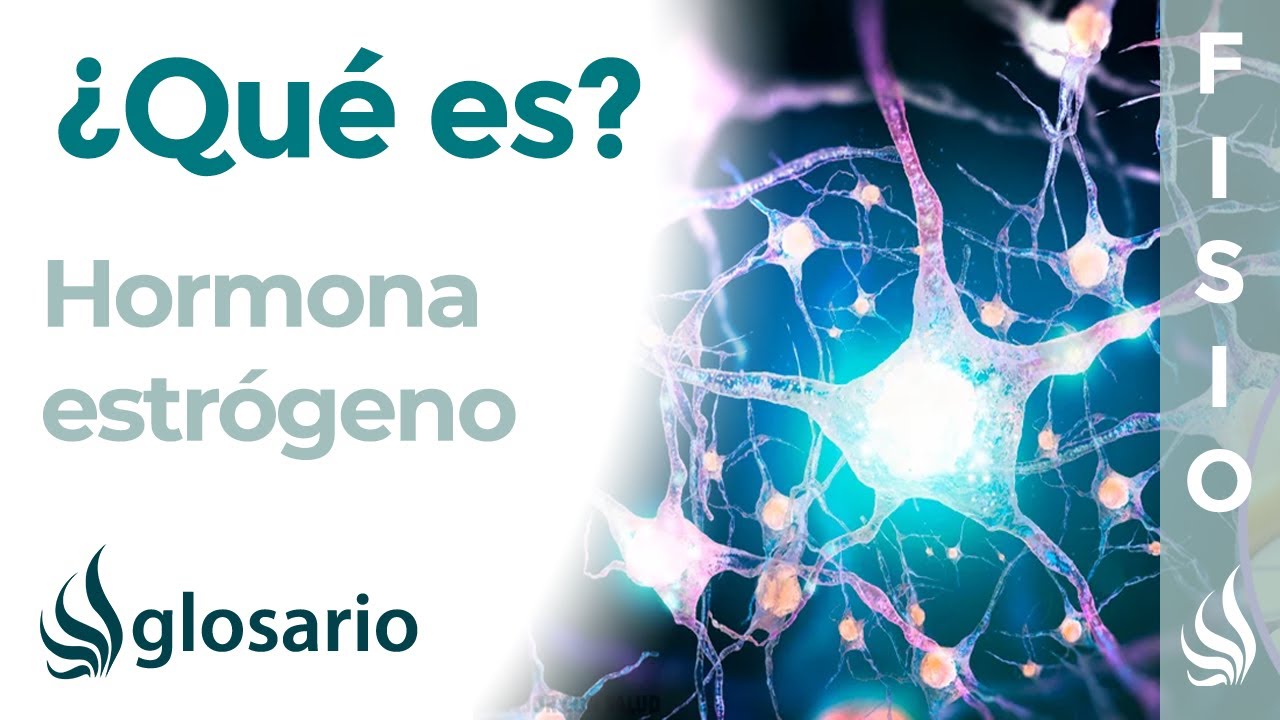 ESTRÓGENO | Qué es, qué la segrega, efectos, dónde actúa y a qué se deben sus alteraciones