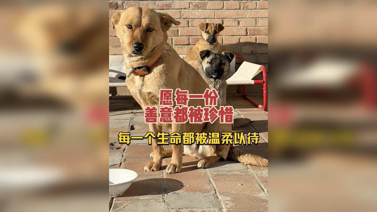 善意与温柔，从来都是双向奔赴……