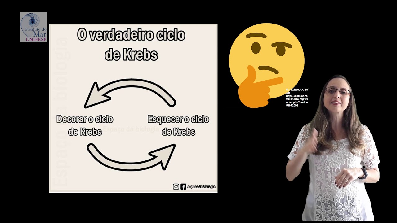 Ciclo de Krebs