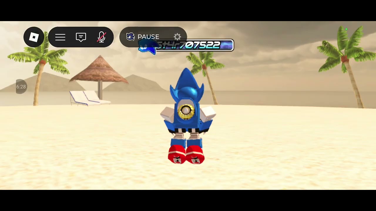 Metal sonic wins!