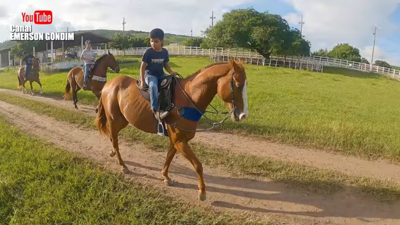 CAMINHANDO A TROPA COM A GALERA DO HARAS  PARQUE GUARANI