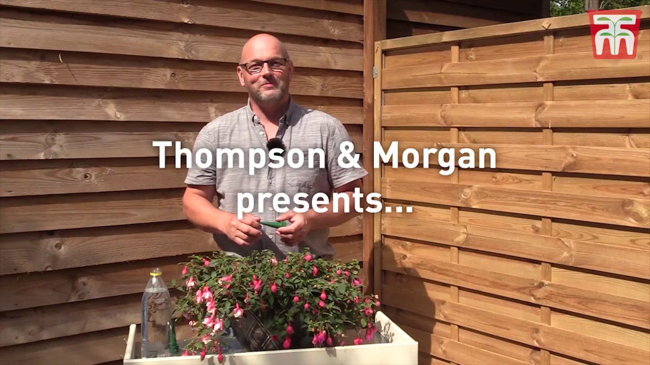 Thompson & Morgan presents ... the Water Wizard.