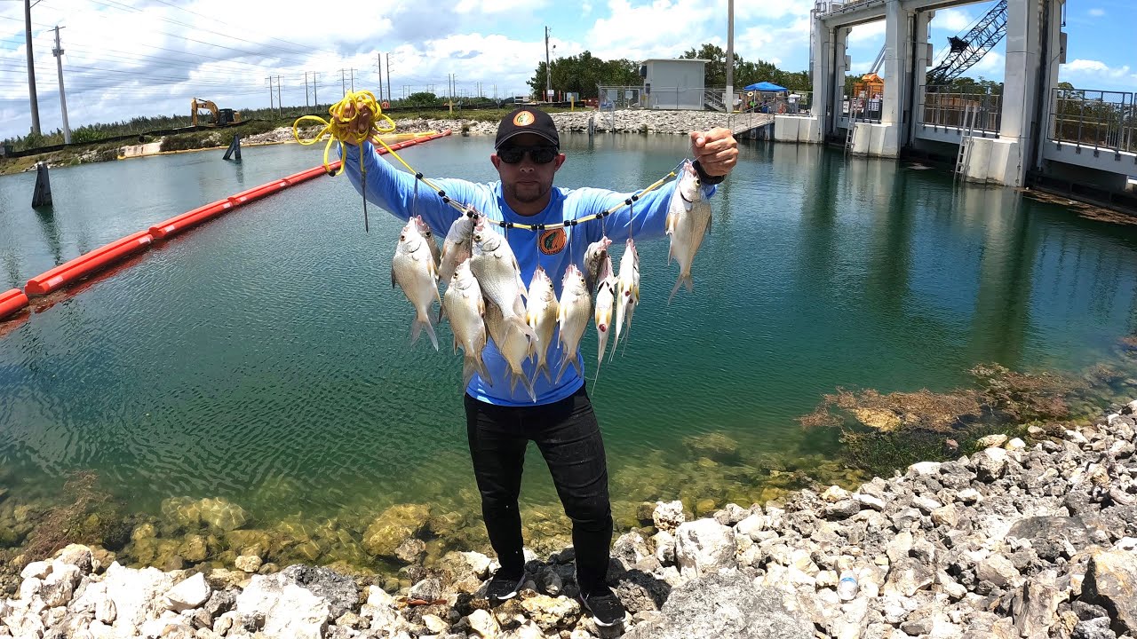 Cómo  Pescar Mojarras en Agua Salada, con Camarón en los Canales de La Florida.
