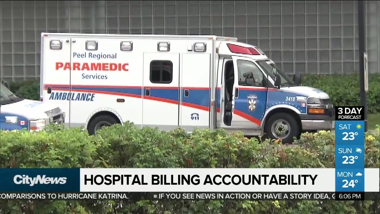 Who keeps hospitals accountable for OHIP billing errors?