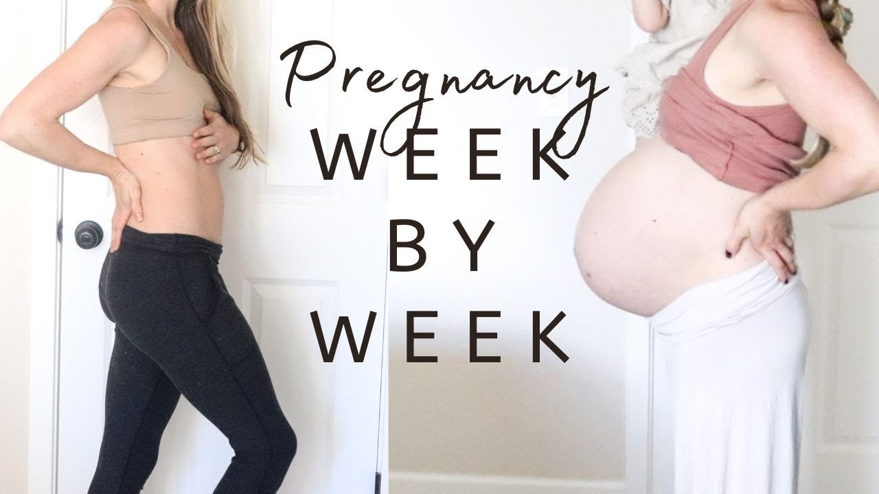 Pregnancy Belly Progression Week by Week