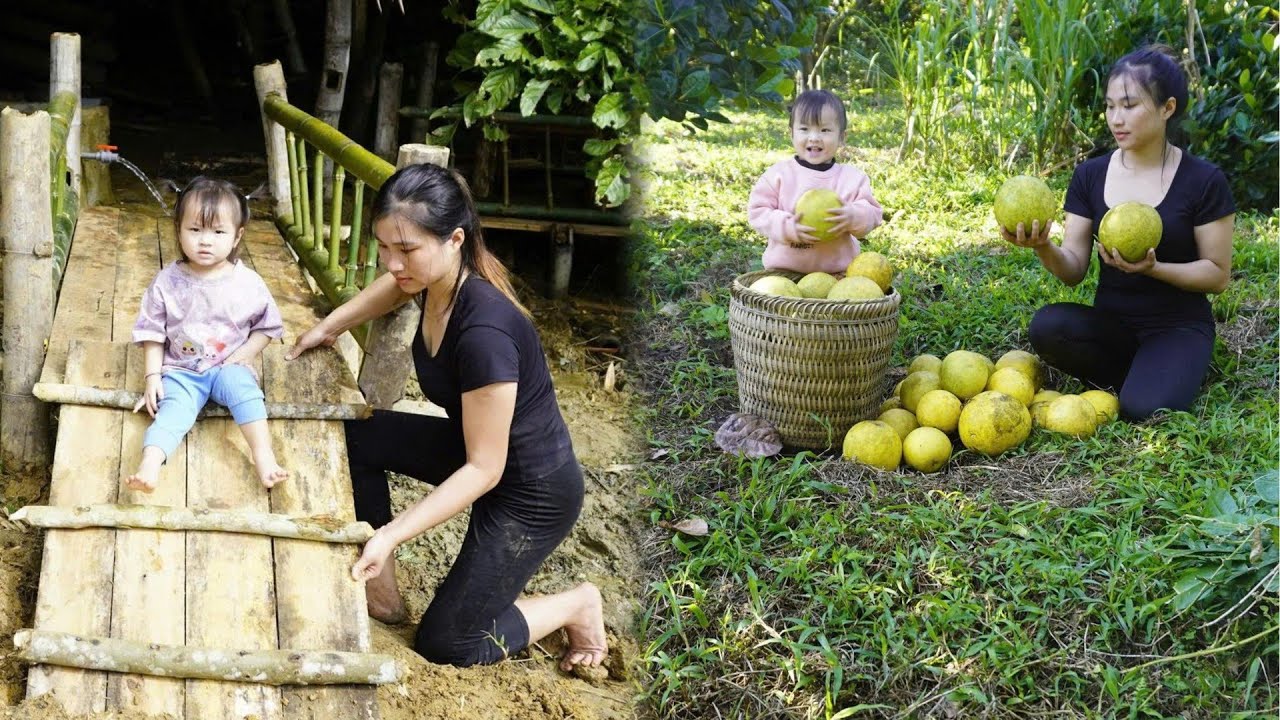 The Girl Who Made a Wooden Bridge Alone - Harvesting Grapefruits to Sell with a 2-Year-Old Baby