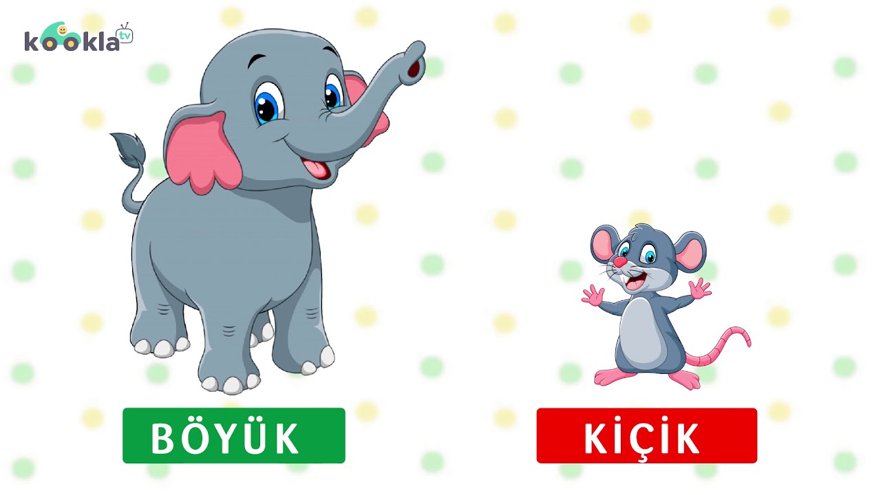 ƏKSMƏNALI SÖZLƏRİ ÖYRƏNİRİK! (Azərbaycan dilində cizgi filmi)