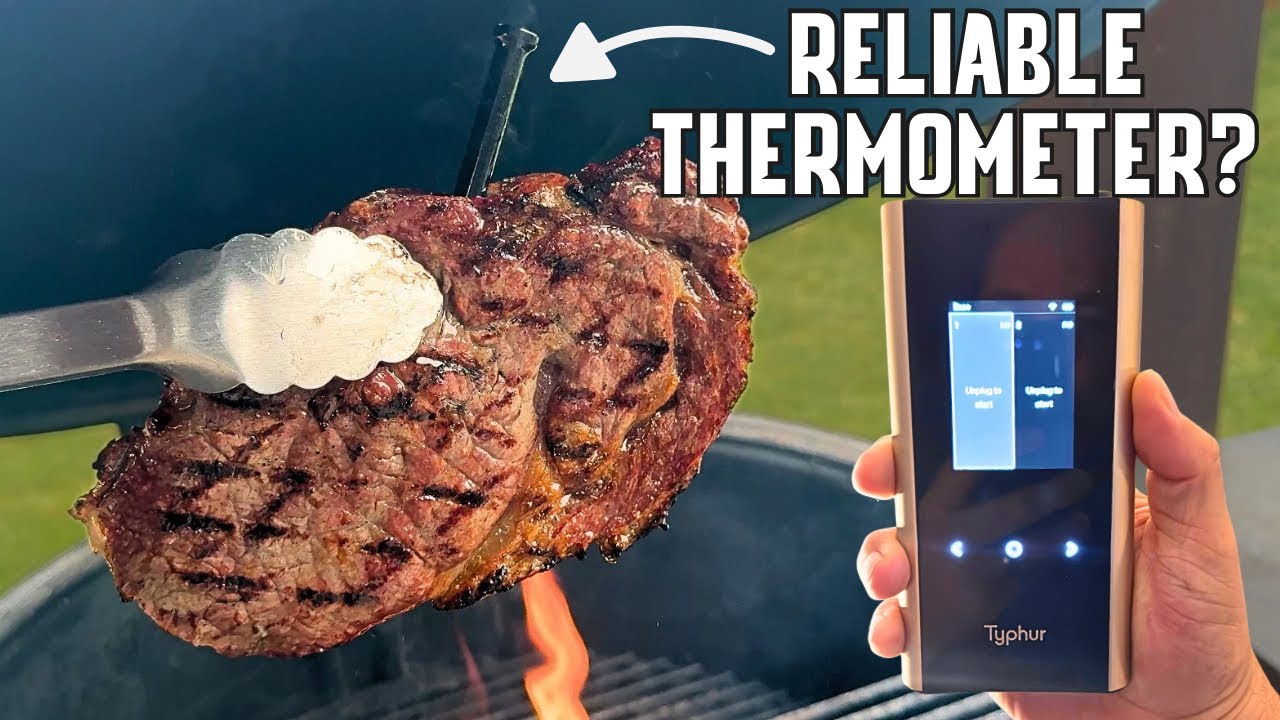 Is this One of the Best Wireless Thermometers? (Typhur Sync Gold)
