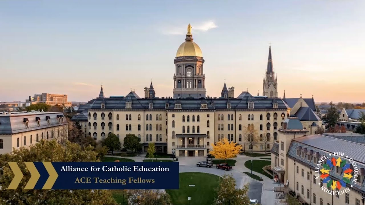 ACE Teaching Fellows: Program Overview Webinar 2024