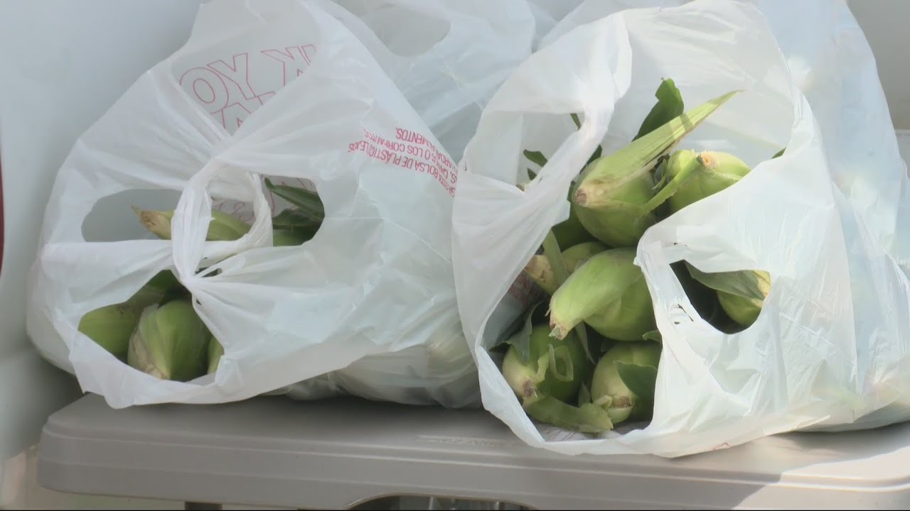Iowa Sweet Corn Prices Higher Due to Expensive Farm Costs