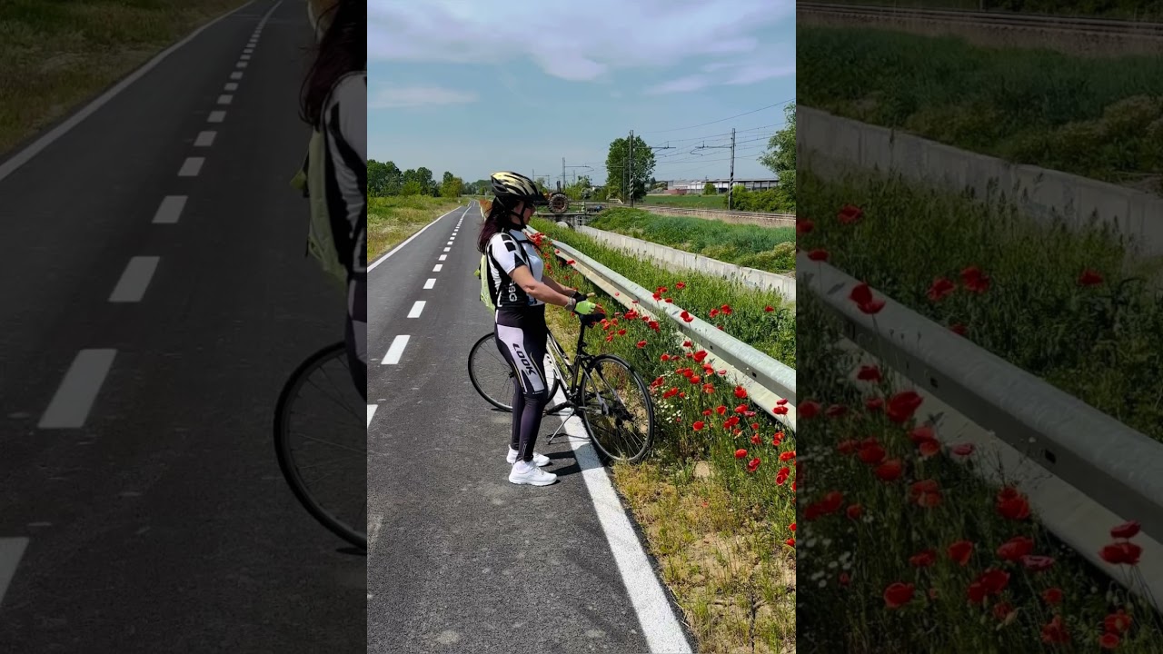 Problemino con la sella