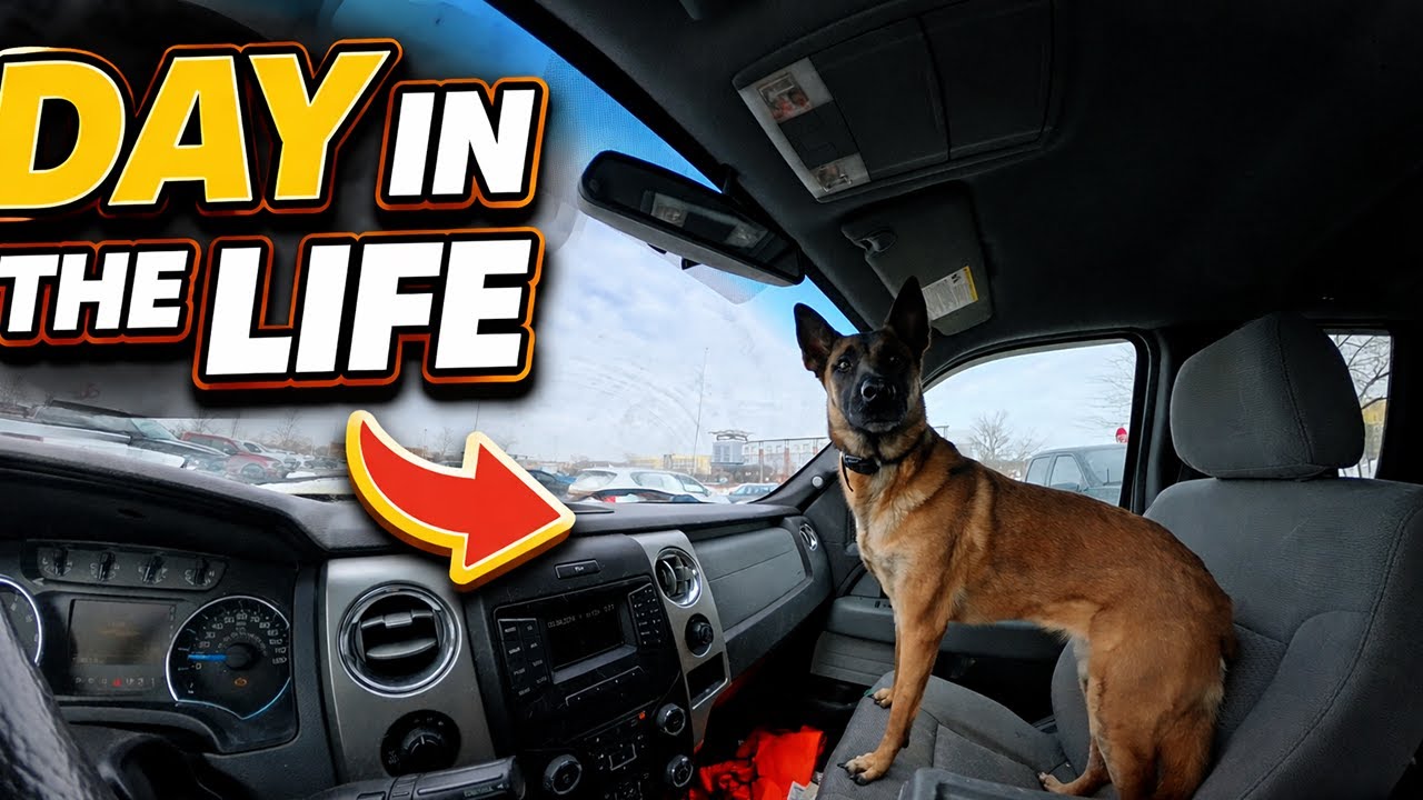 A Winter Workday With a Trained Dog | Cabela&rsquo;s, Off-Leash Hiking & Real Life Training