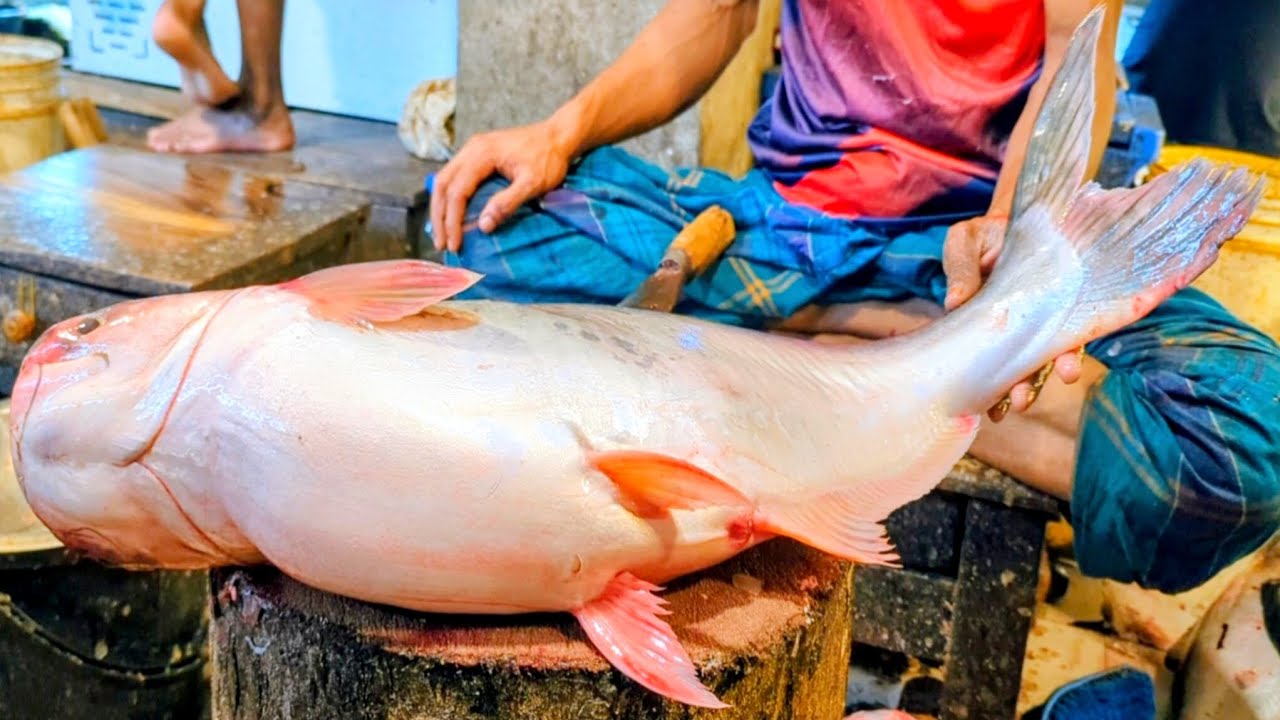 Amazing Pangas Fish Cutting & Skinning Skills In Bangladesh Fish Market 