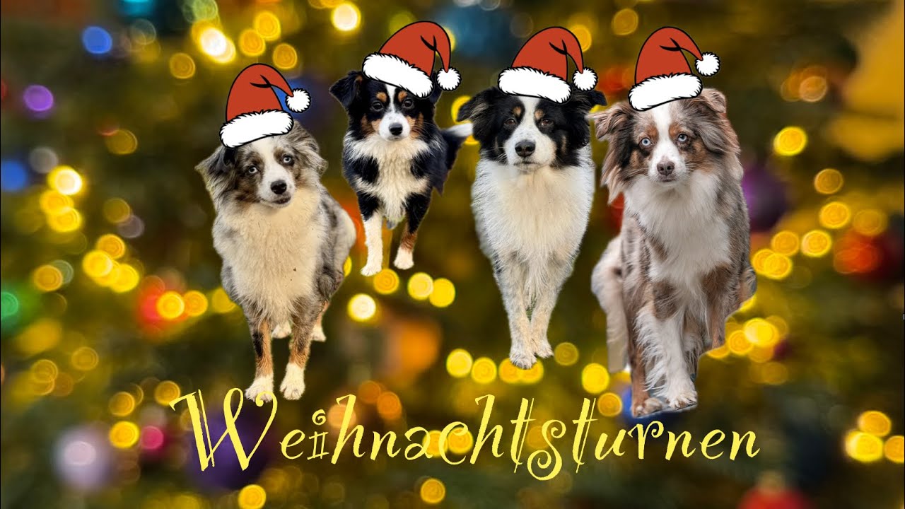 Weihnachtsturnen 2025