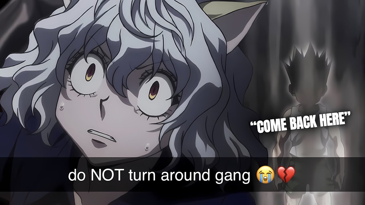 HUNTER X HUNTER IS ELITE HANDS 