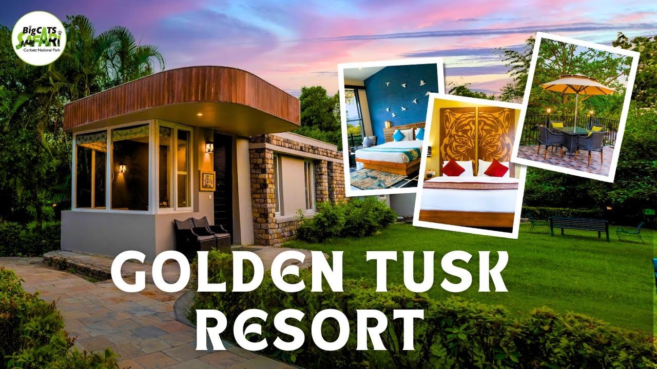 The Golden Tusk Resort Jim Corbett - Luxury Stay Into The Nature.