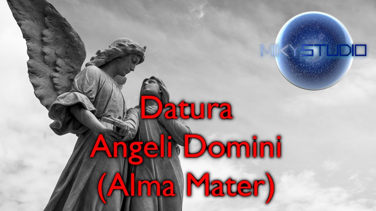 Datura - Angeli Domini (Alma Mater) (Miky Studio cover)