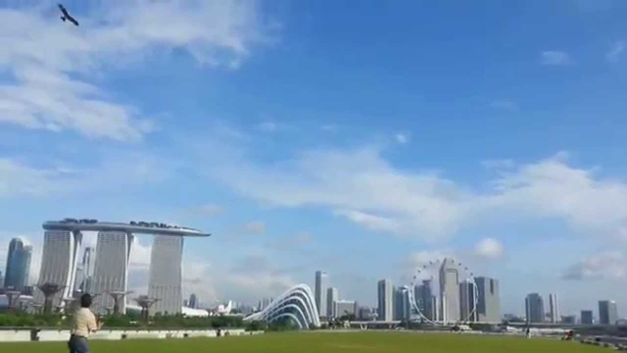 Gliding Eagle (pan ying) in Marina Barrage