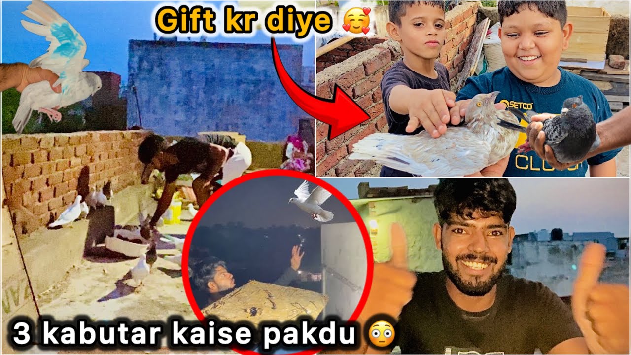 Bacho ko kabutar Gift kr diye 🥰 || Teen ( 3 ) naye Kabutar pakdne lge 🤑
