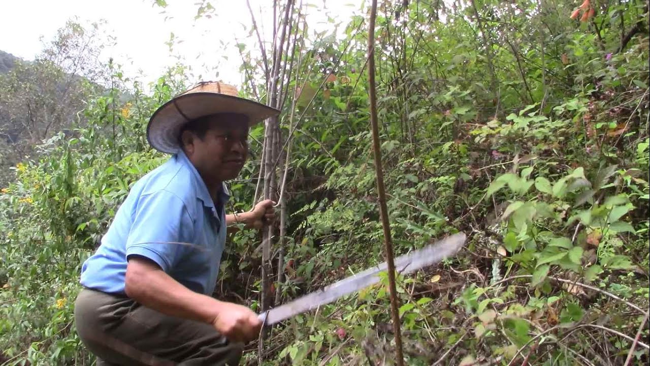 Limpia de terreno con machete, as&iacute; la vida de un jornalero