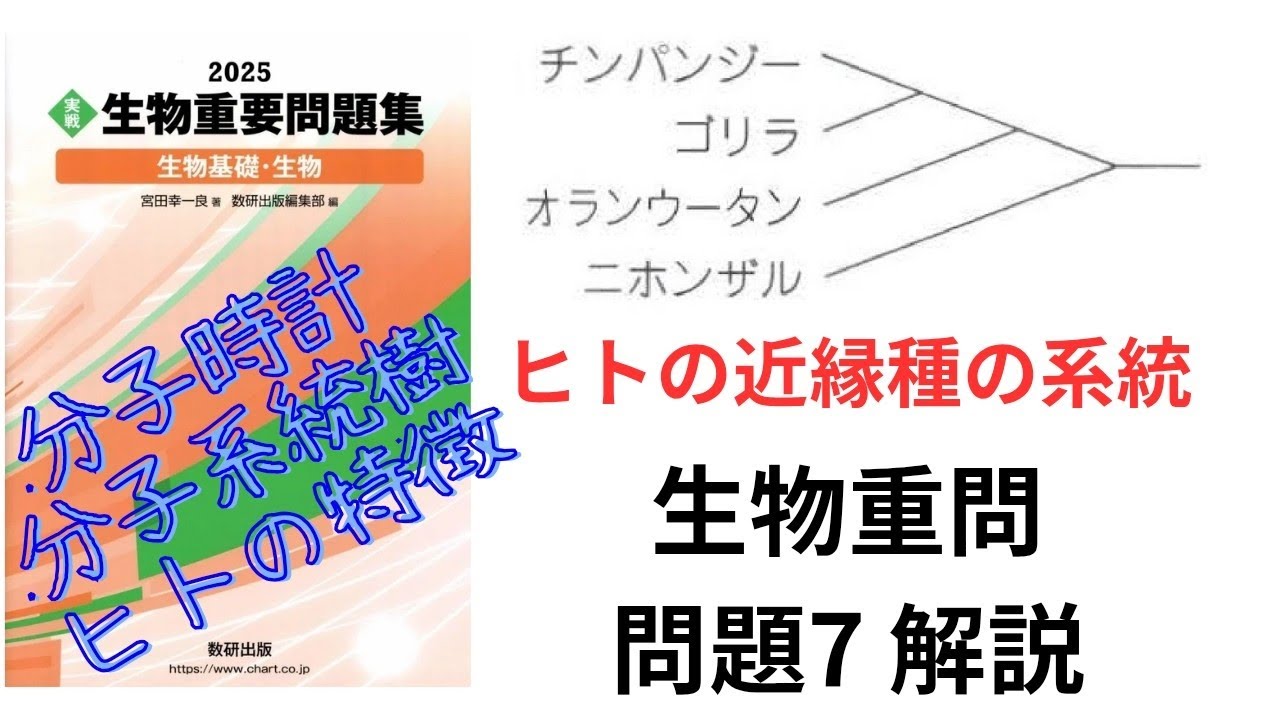 【高校生物】2025生物重要問題集の問題7の解説【大学受験】【分子時計】【系統樹】【直立二足歩行】