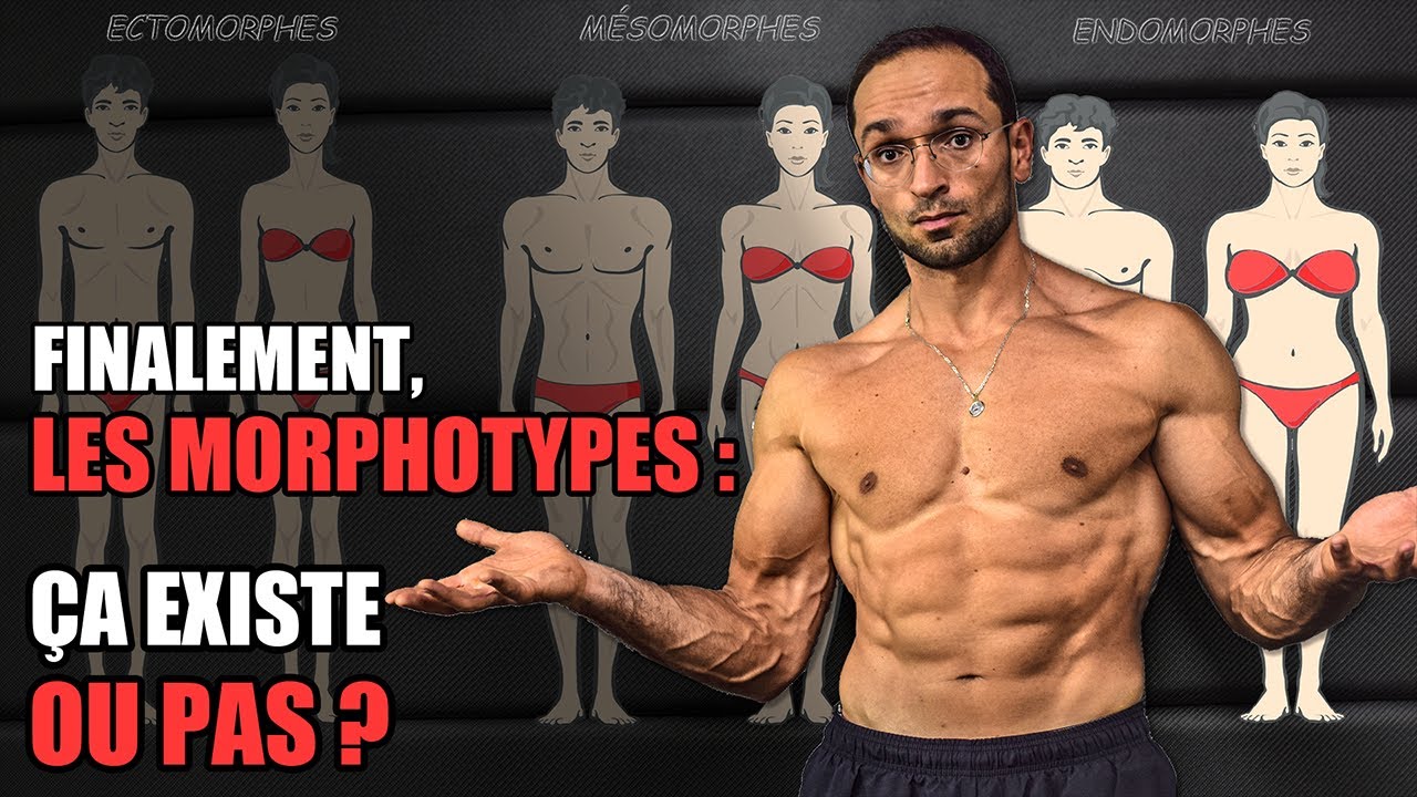 MUSCULATION : Faut il S'ENTRAÎNER en fonction de son MORPHOTYPE ?