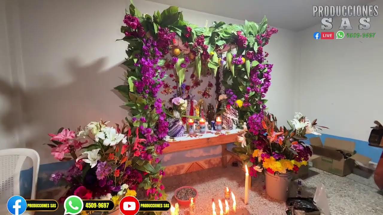 Transmisión en directo de PRODUCCIONES SAS
