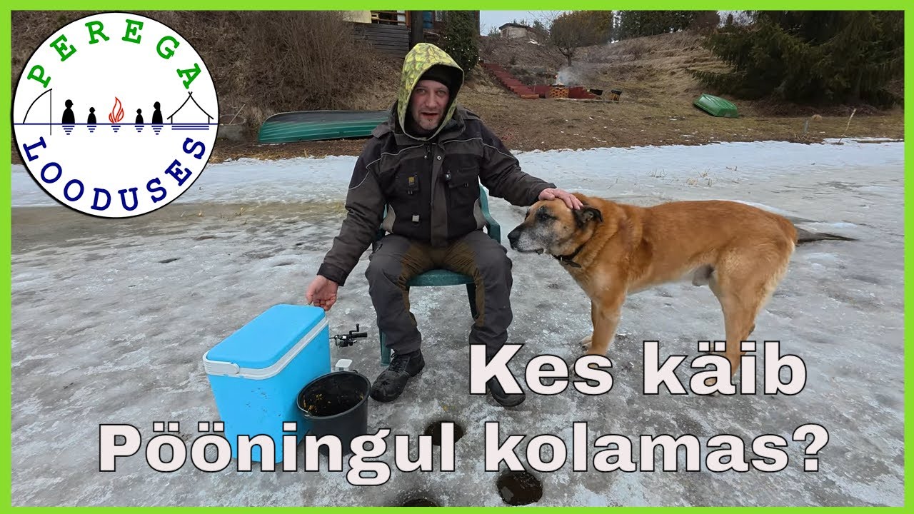 Püüame poistega kala ja pätt elukat kaamerasse