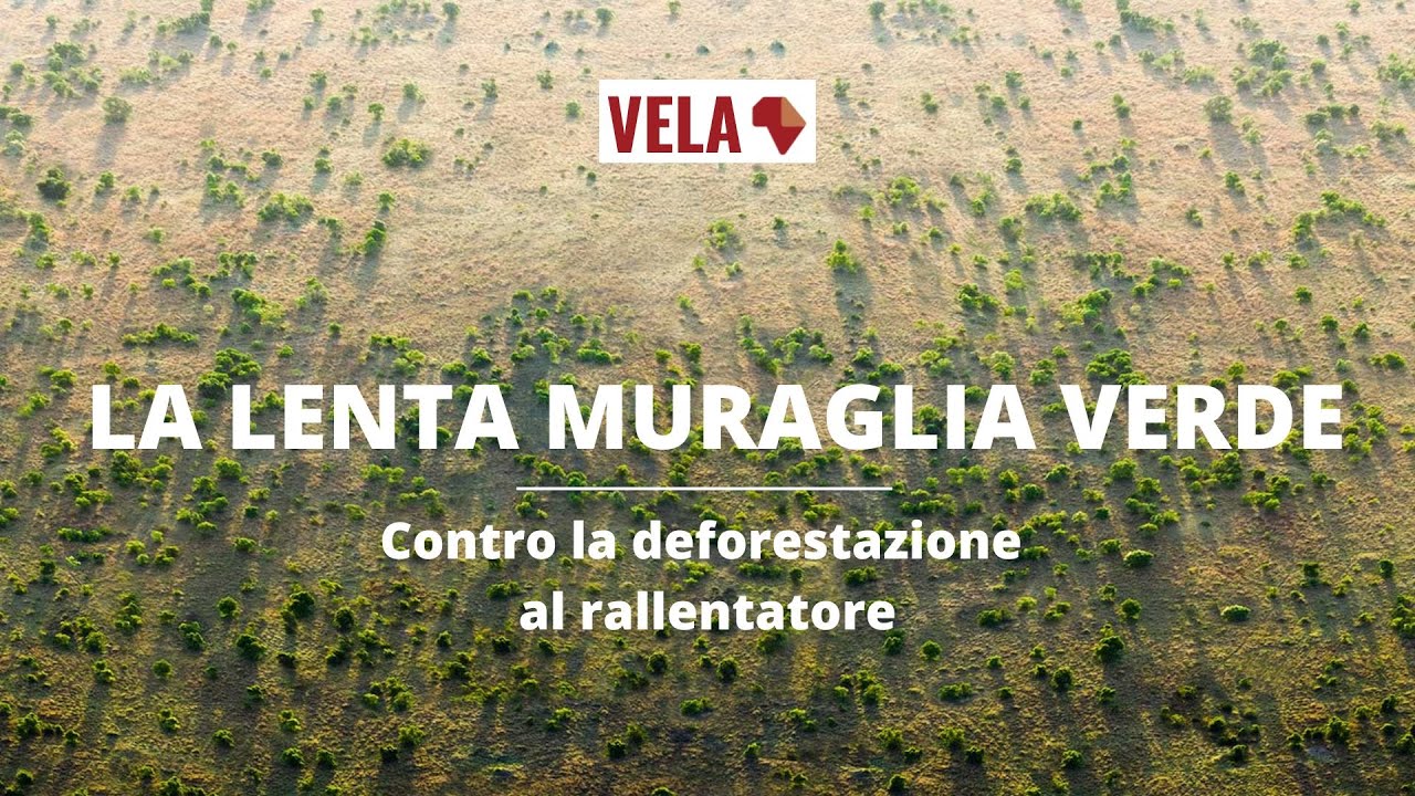 La Lenta Muraglia Verde