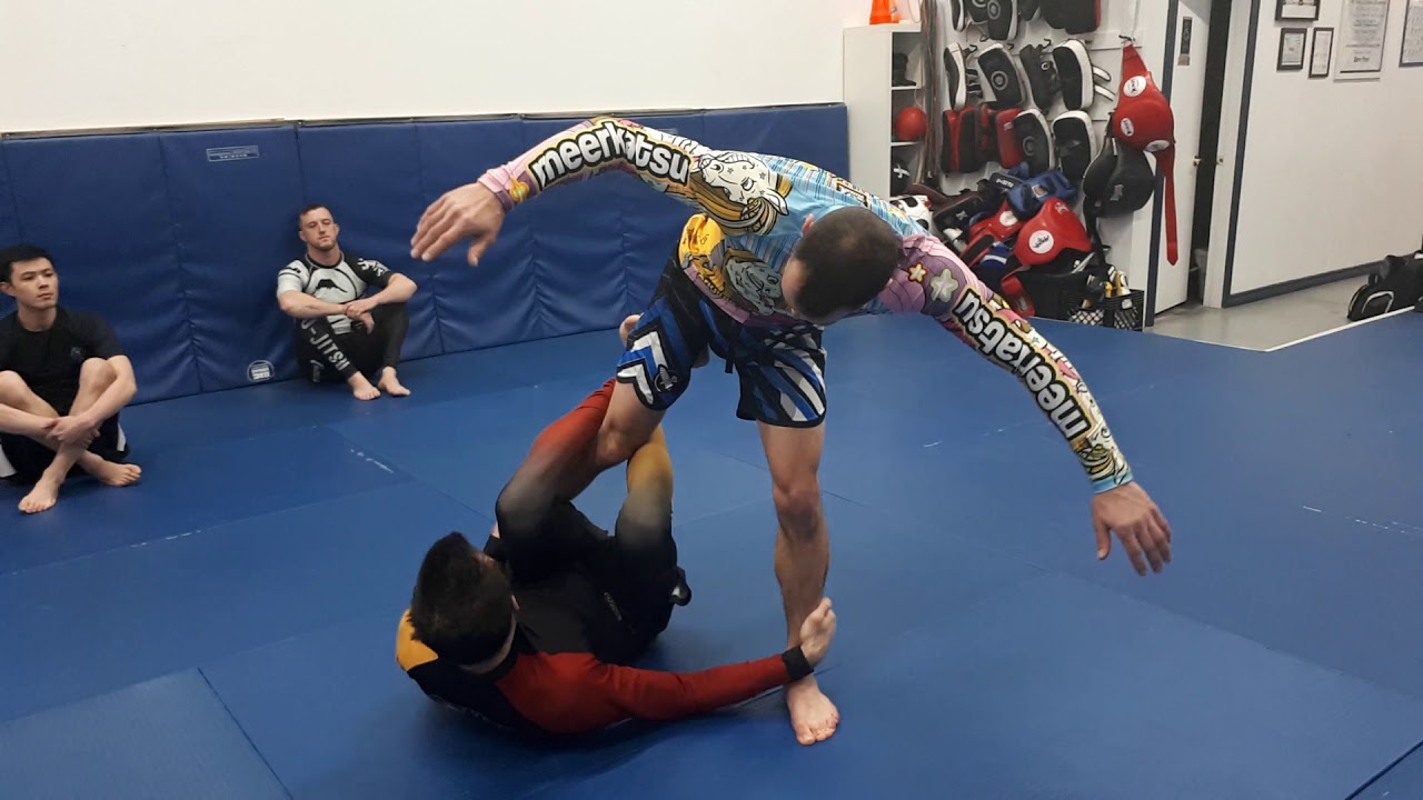NoGi DLR Formula Seminar 2