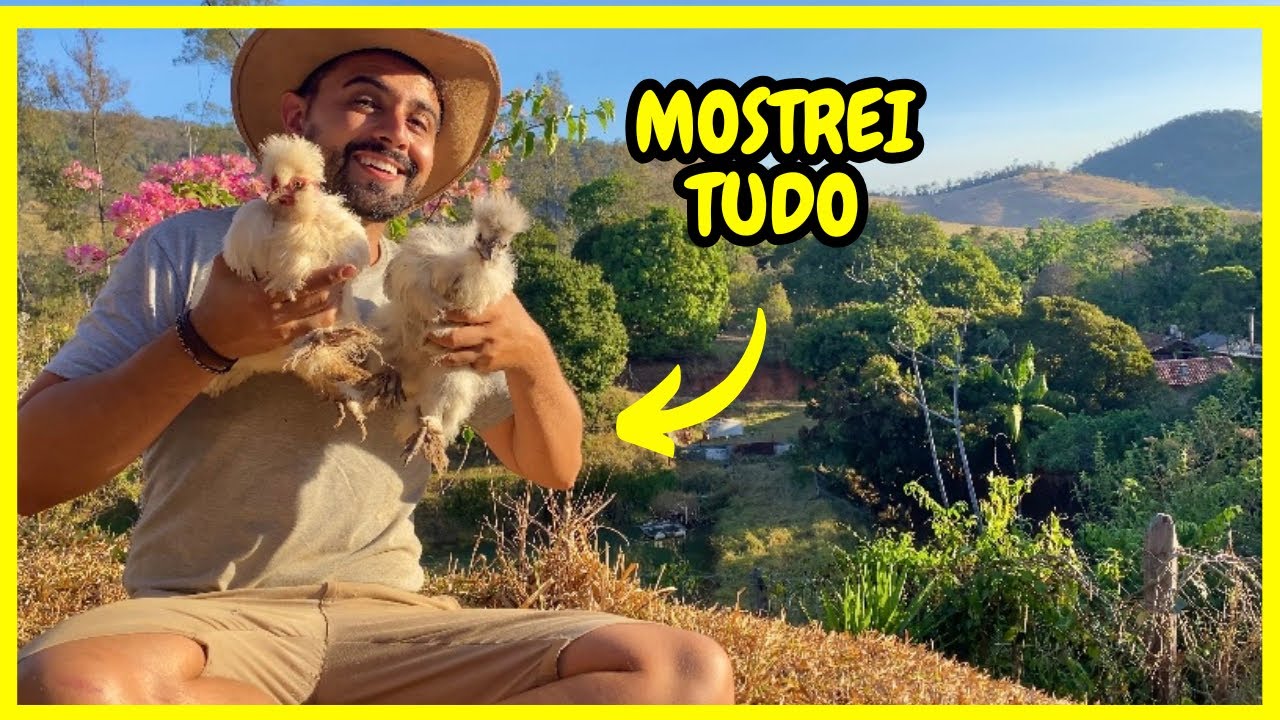 Atualização de Toda minha Criação de Animais na Roça | Gutejando