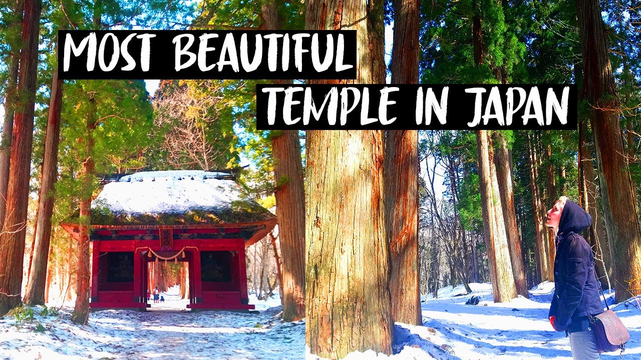 Secluded Temple in the Mountains of Japan | Best Sake & Soba EVER!!!