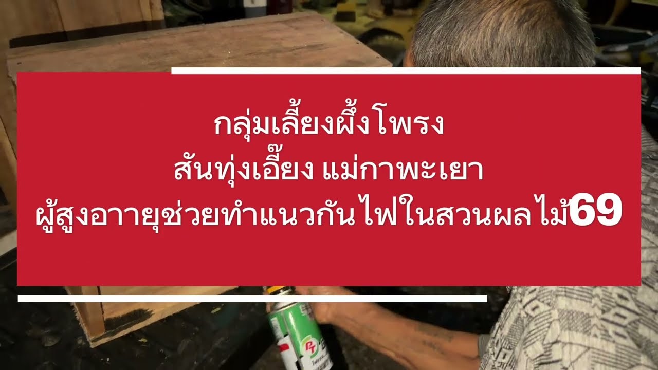 การเตรียมโก๋นผึ้งโพรง โดยกลุ่มผู้สูงอายุ สันทุ่งเอี๊ยง แม่กา ในพืันที่ว่างสวนลำไย69#ดอกลำไย69