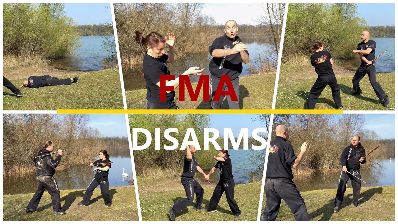 FMA - Disarms