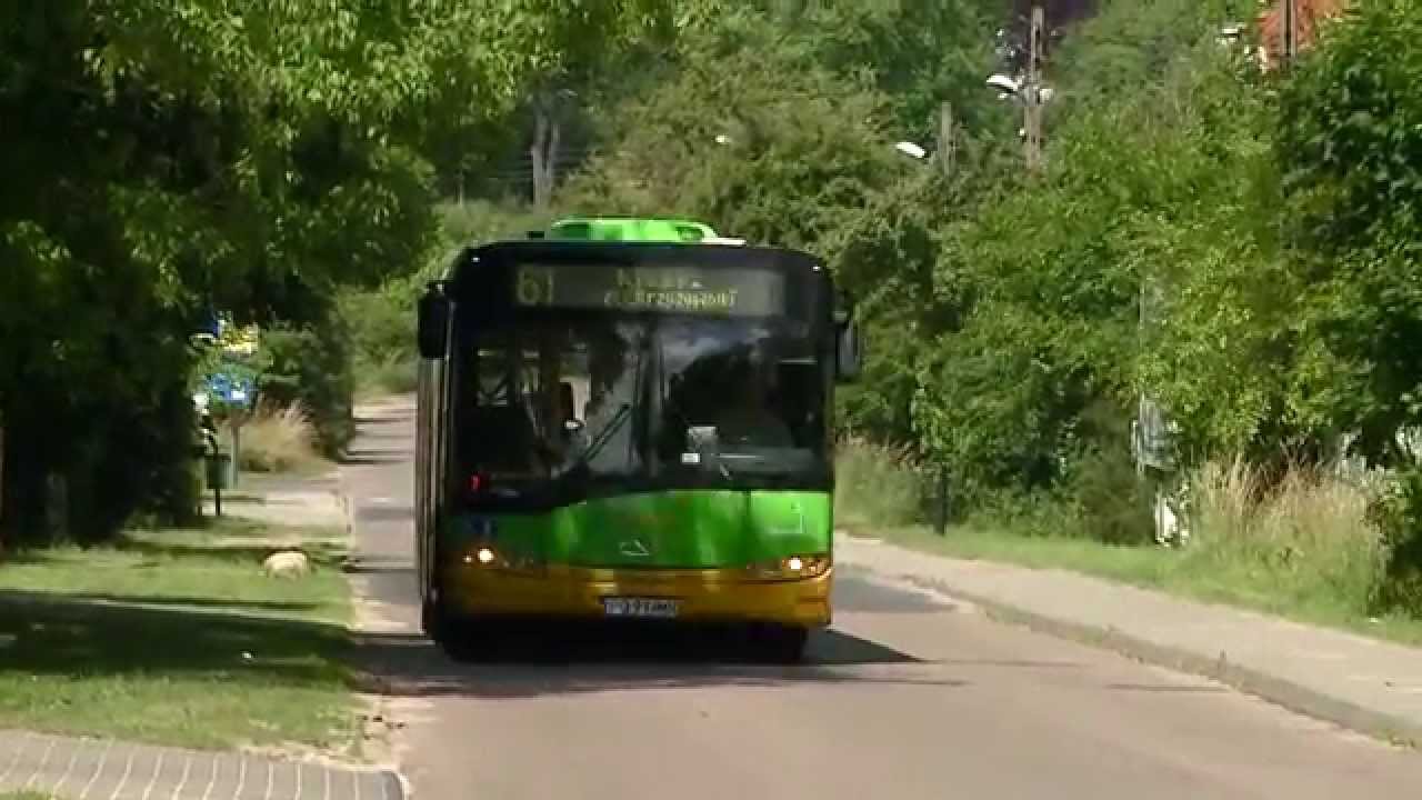 peka w Rokietnicy