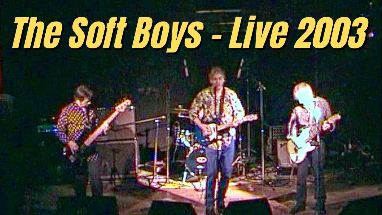 The Soft Boys - live Italy 2003 (Full Concert)