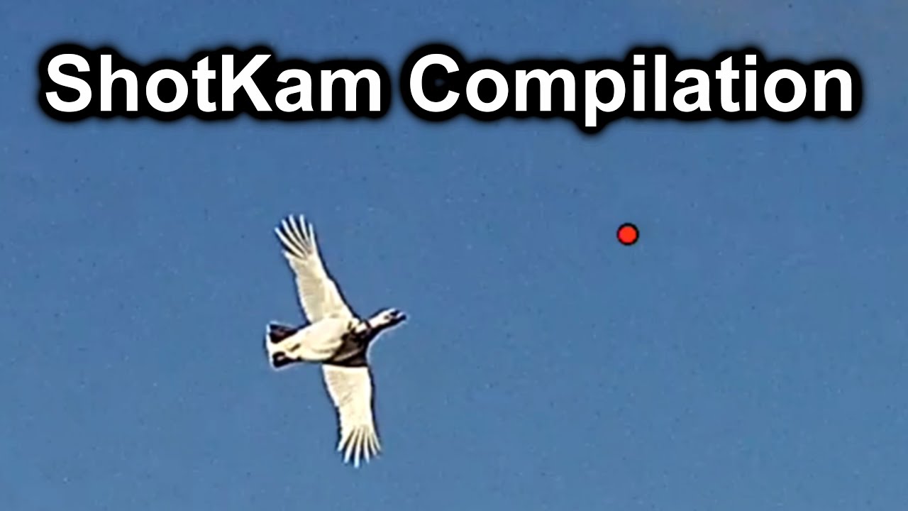 ShotKam compilation 2019-2020
