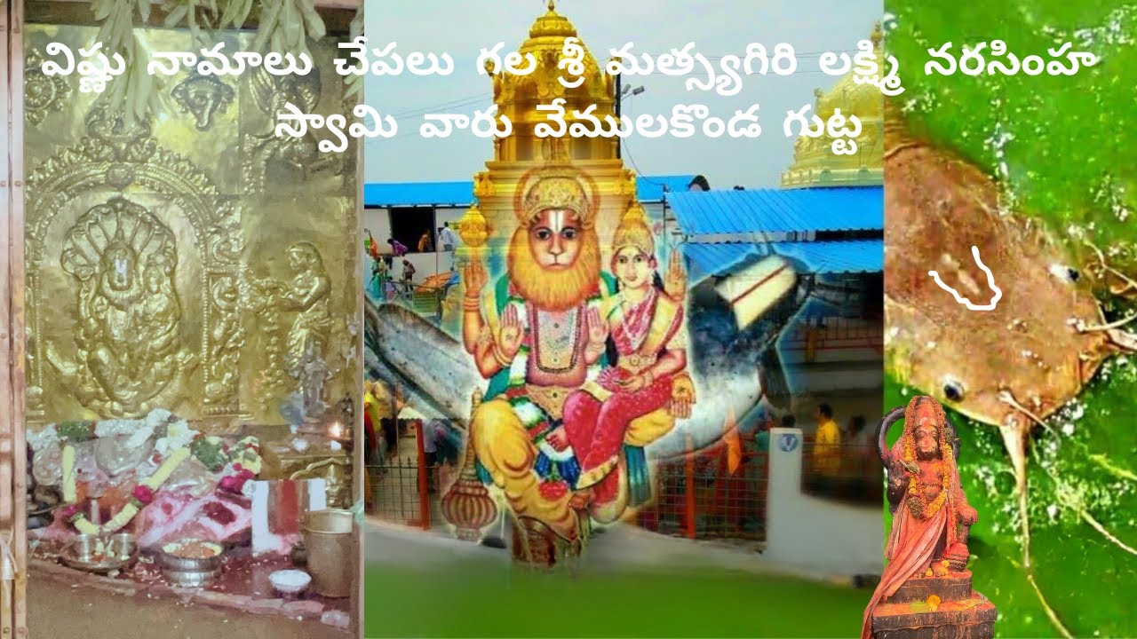VEMULAKONDA LAKSHMI NARASIMHA SWAMY TEMPLE| విష్ణునామాలు చేపలు గల లక్ష్మినరసింహస్వామి#viral#trending