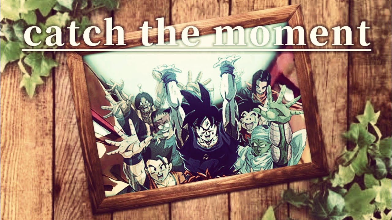 【ワゾネス様誕生日記念MAD】ドラゴンボール×catch the moment