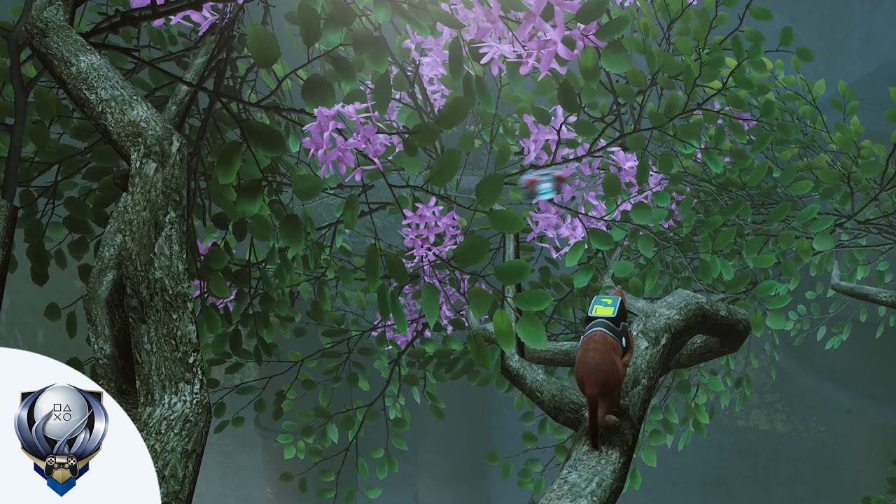 How to get the Plant Badge in Stray | All Colored Plant Locations (Chapter 9)