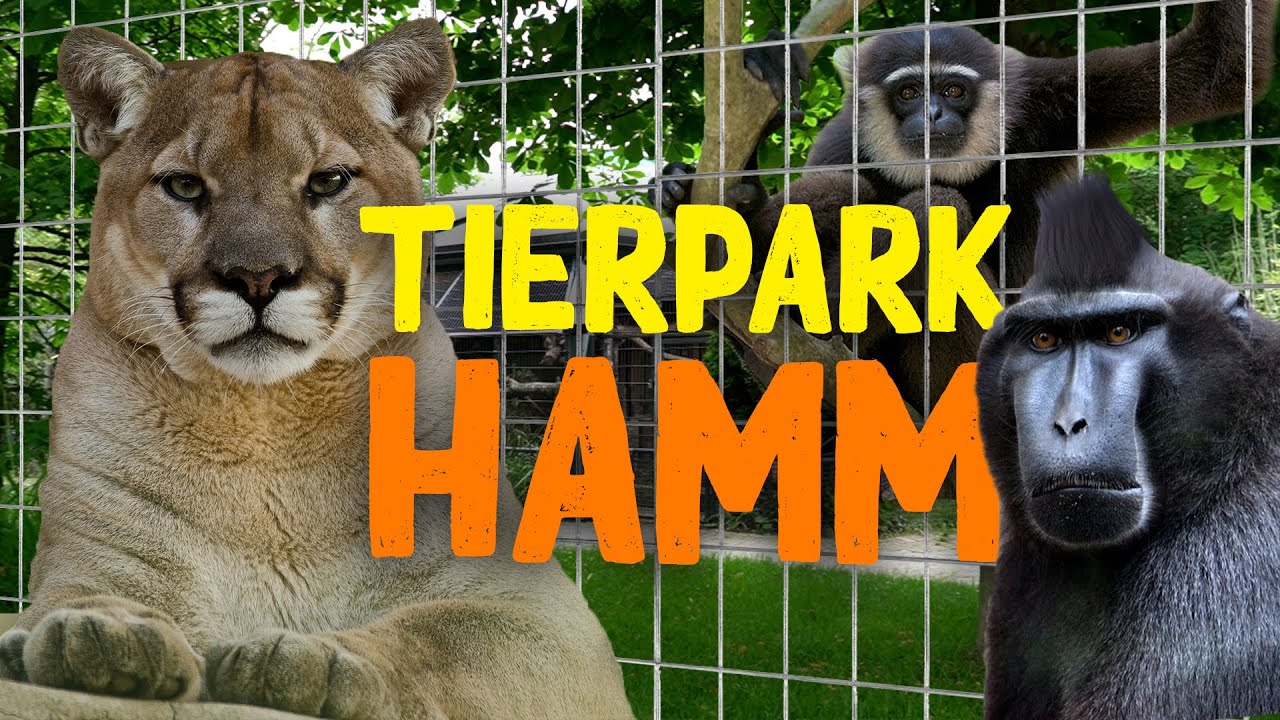 Tierpark Hamm | Zoo-Eindruck